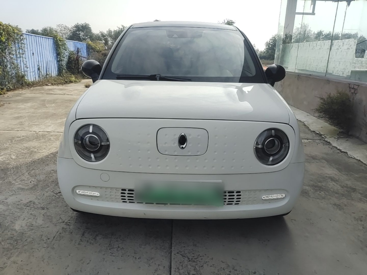 2019 351km photo 2