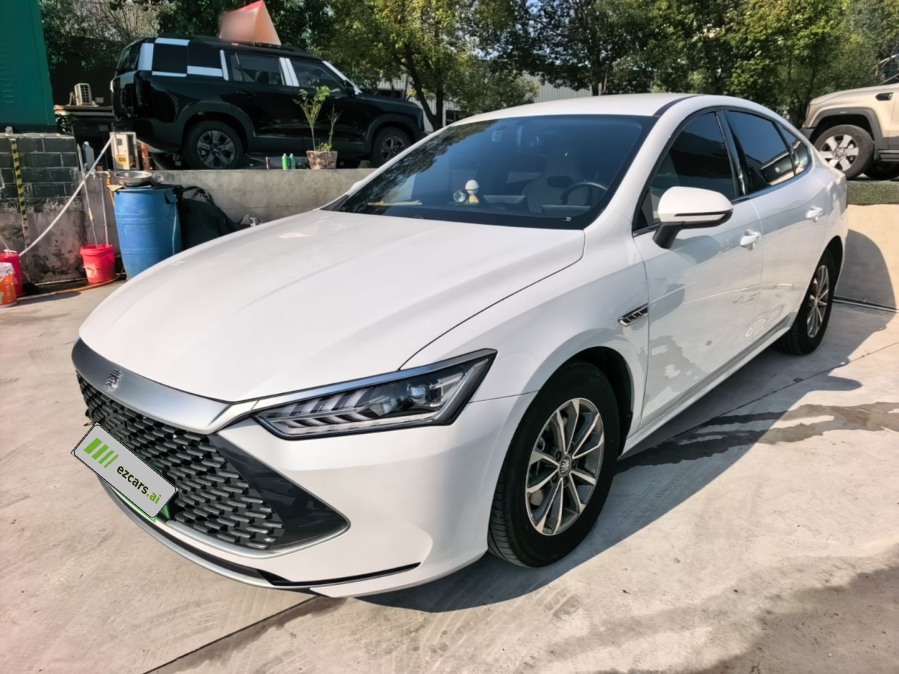 Qin PLUS 2024 Honor DM-i 55KM Leading