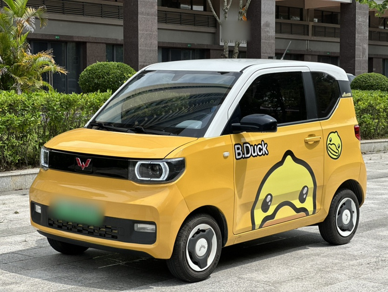 Hongguang MINIEV 2022 Macaron LFP