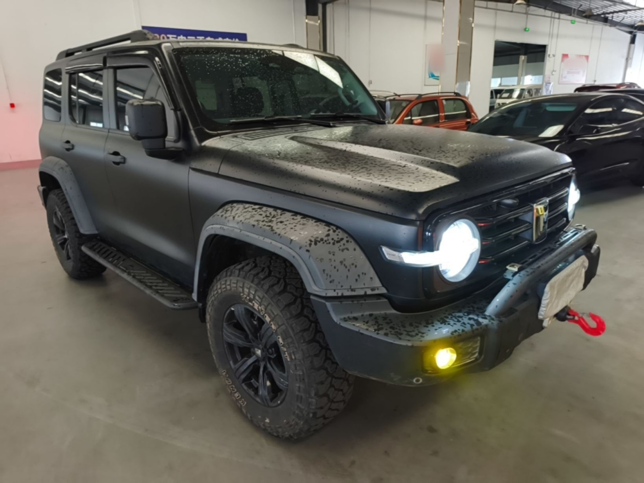 300 2021 Off-road 2.0T Conqueror photo 3