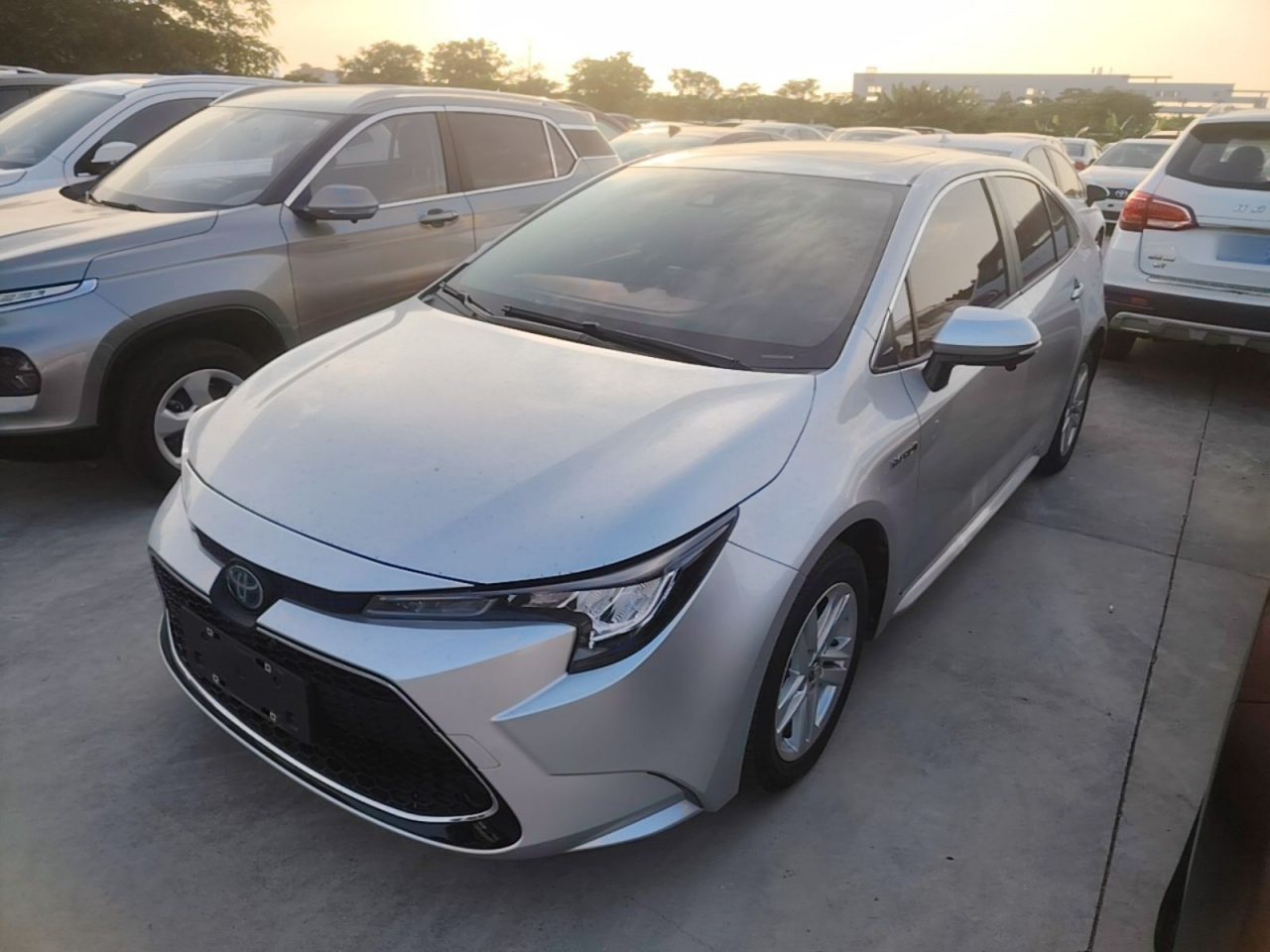 Levin 2021 Hybrid 1.8H E-CVT Luxury