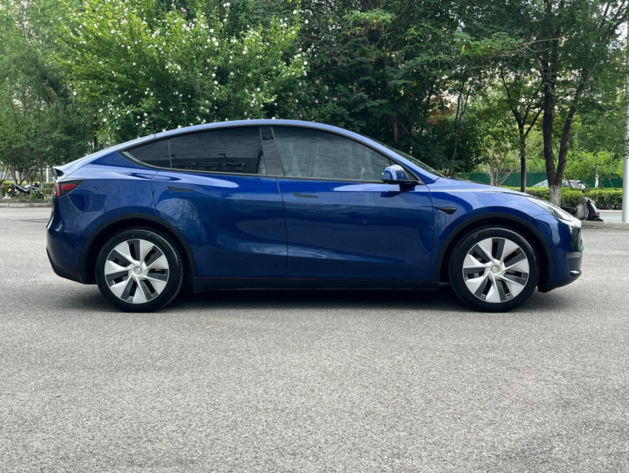 Model Y 2021 Standard Range RWD photo 3