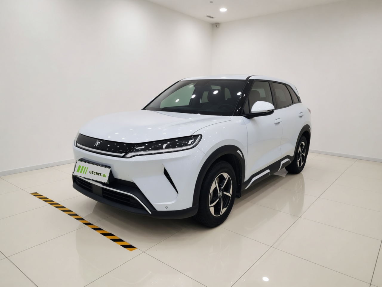Yuan UP 2025 301KM Pilot
