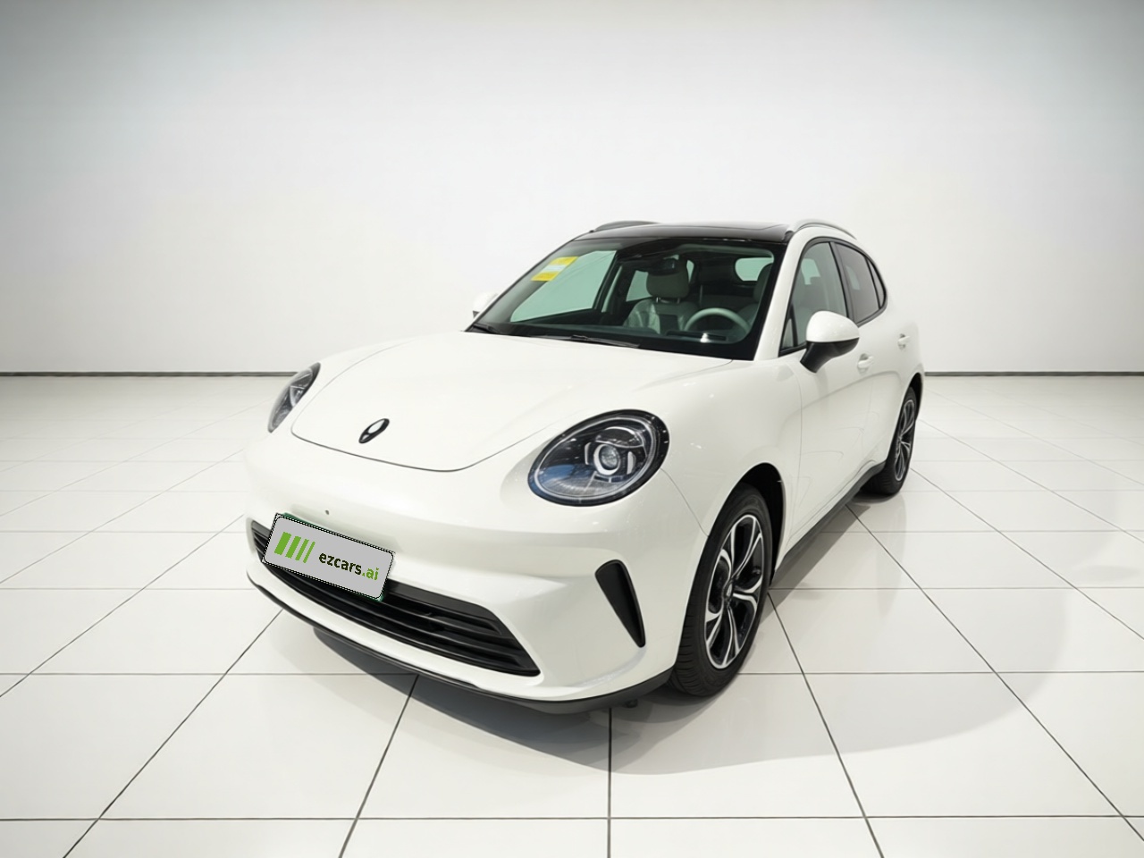5 EV 2026 480km Pro