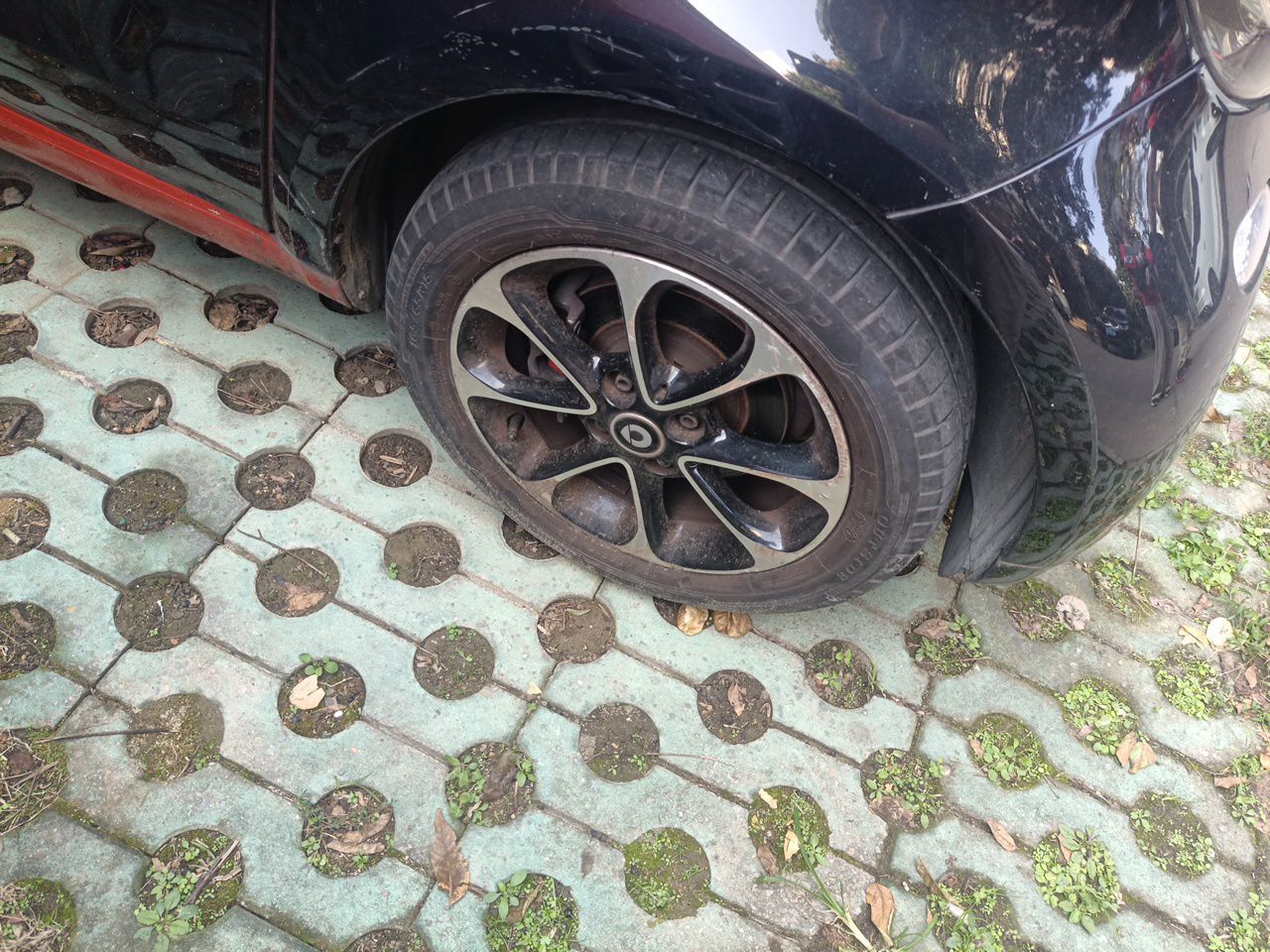 fortwo 2015 1.0L 52 Coupe photo 5