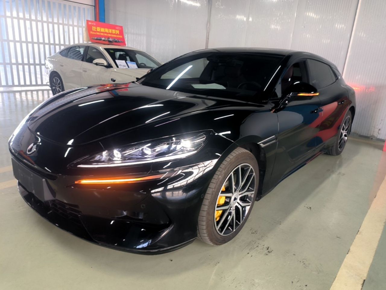 Z9GT 2024 1100 AWD Max