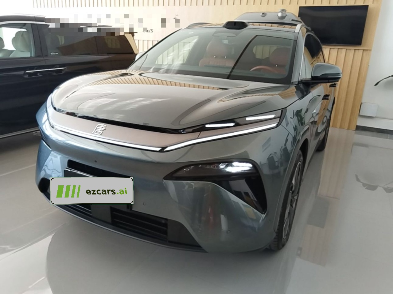 Tang L 2025 DM 175KM