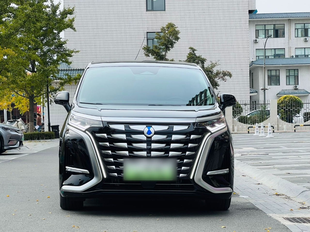 D9 2024 DM-i 980 AWD Noble photo 2
