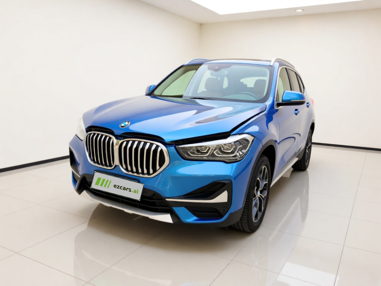 X1 2020 sDrive20Li Exclusive