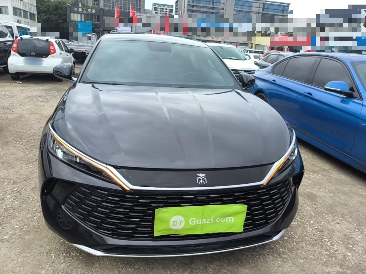 Qin L 2024 DM-i 80KM Leading photo 2
