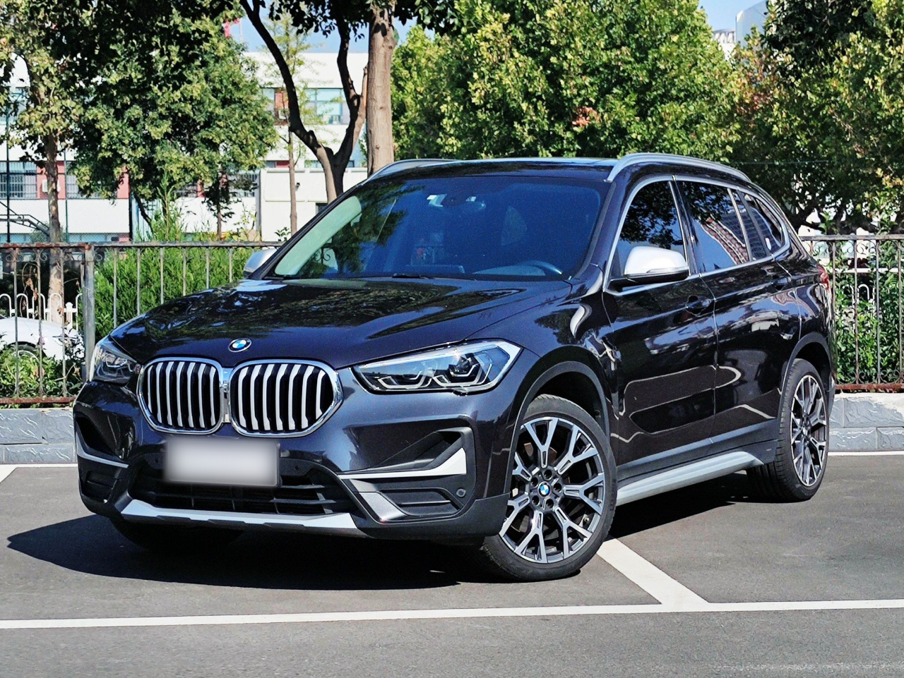 X1 2021 xDrive25Li Exclusive