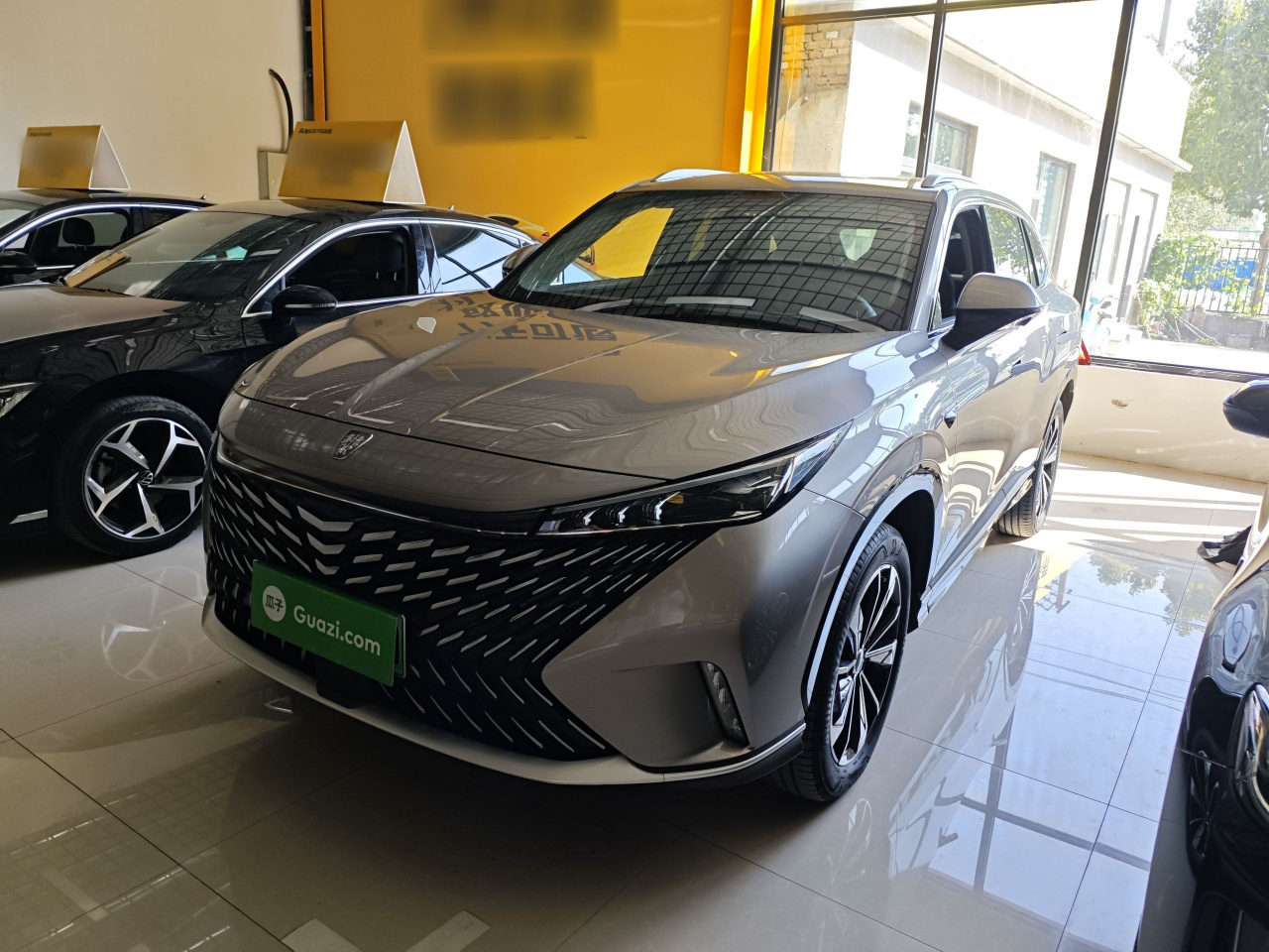 RX5 EV 2023 eRX5 Comfort