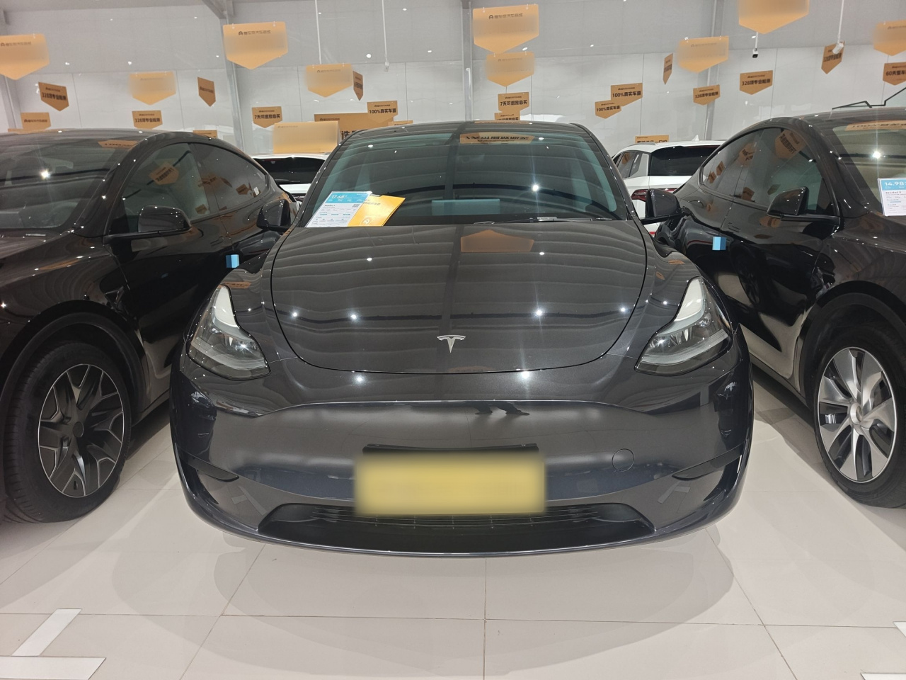 Model Y 2024 RWD photo 2