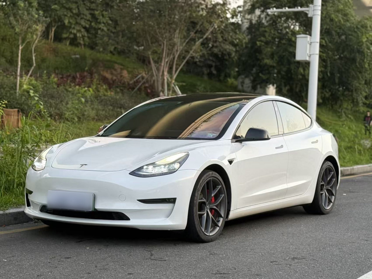 Model 3 2022 Performance AWD photo 2