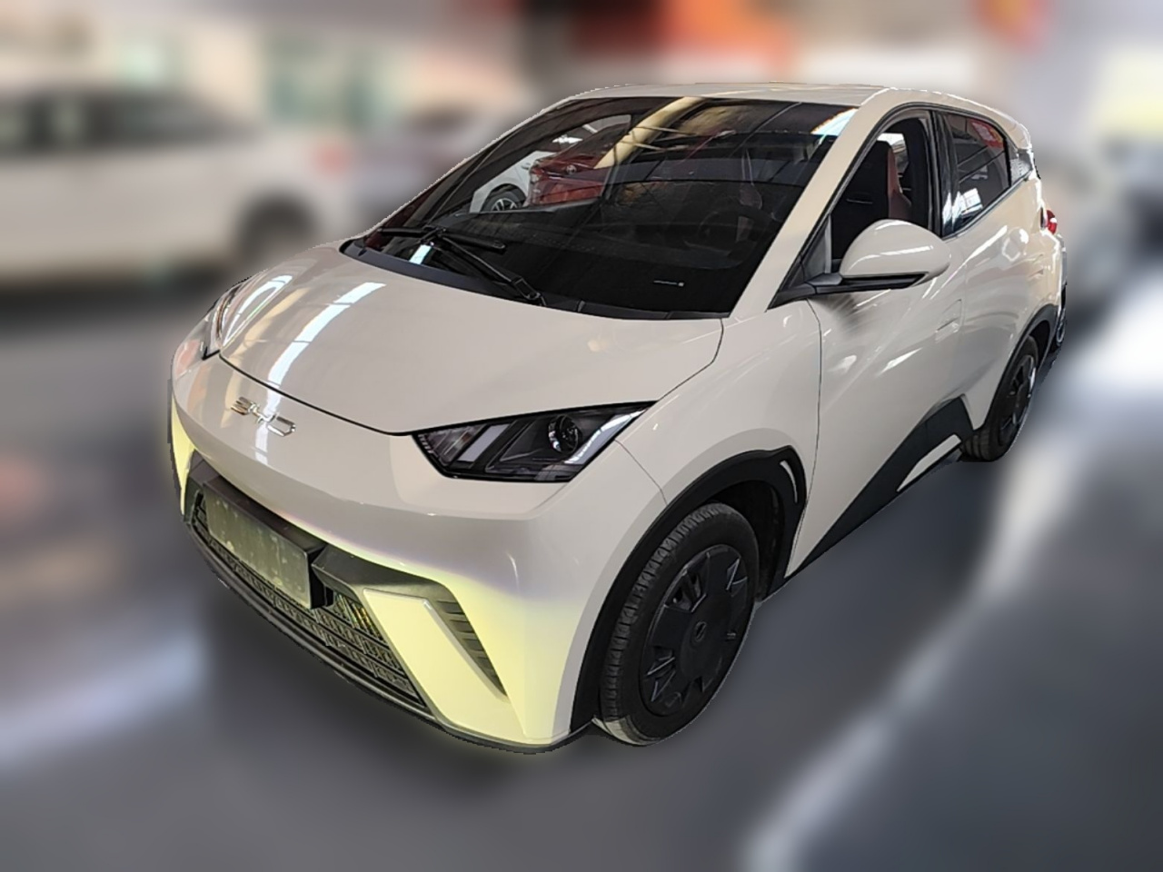 Seagull 2023