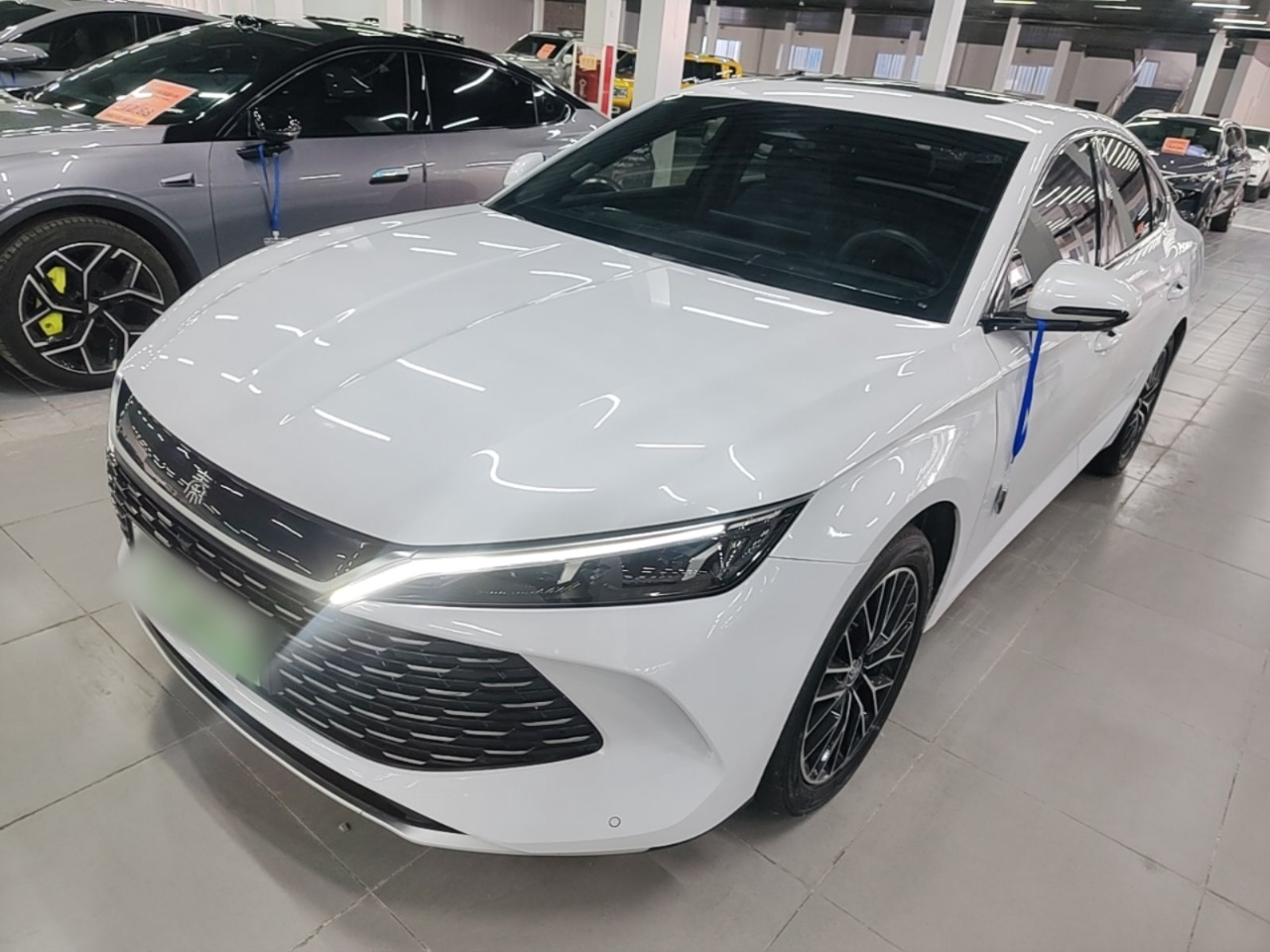 Qin L 2024 DM-i 120KM Excellence