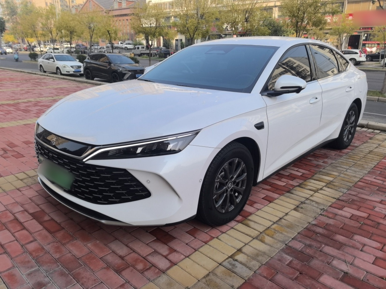 Qin L 2025 DM-i ADAS 80KM Leading