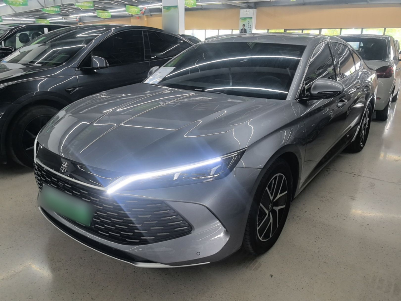 Qin L 2024 DM-i 80KM