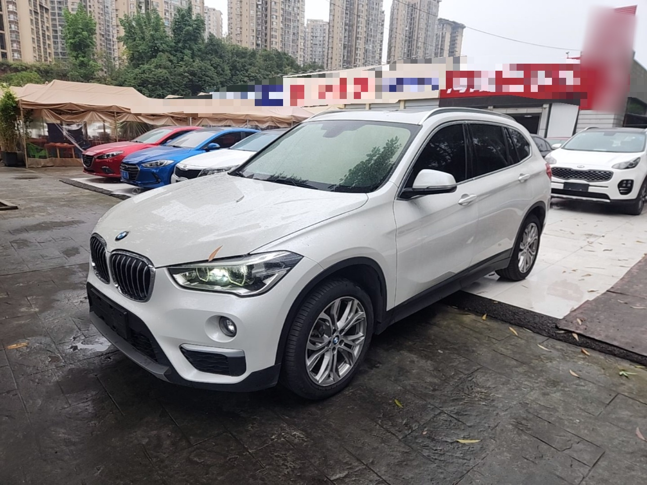 X1 2019 sDrive20Li Leading
