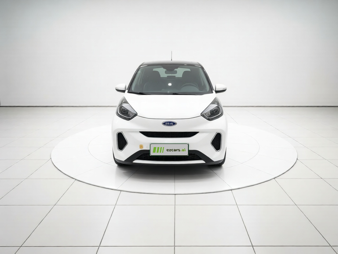 QQ Little Ant 2021 15 LFP