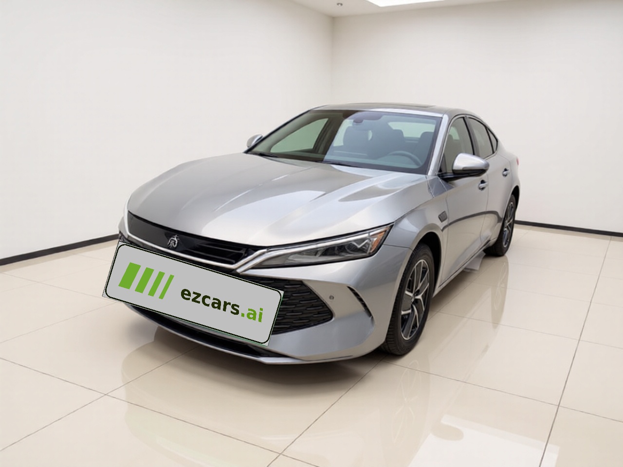 Qin L 2025 DM-i ADAS 120KM