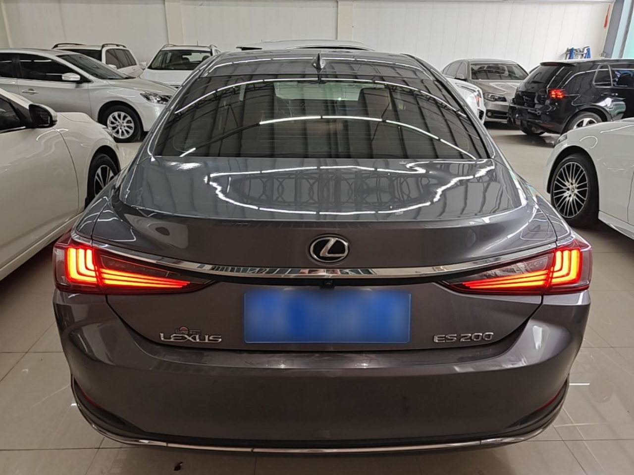 ES 2018 200 Excellence China V photo 5