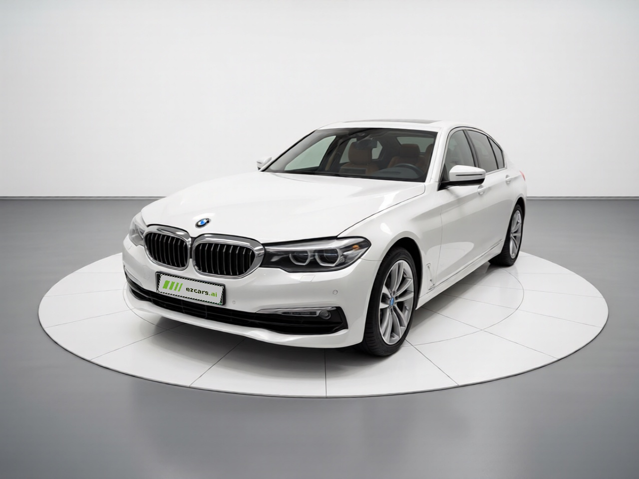 5 Series 2018 528Li Special