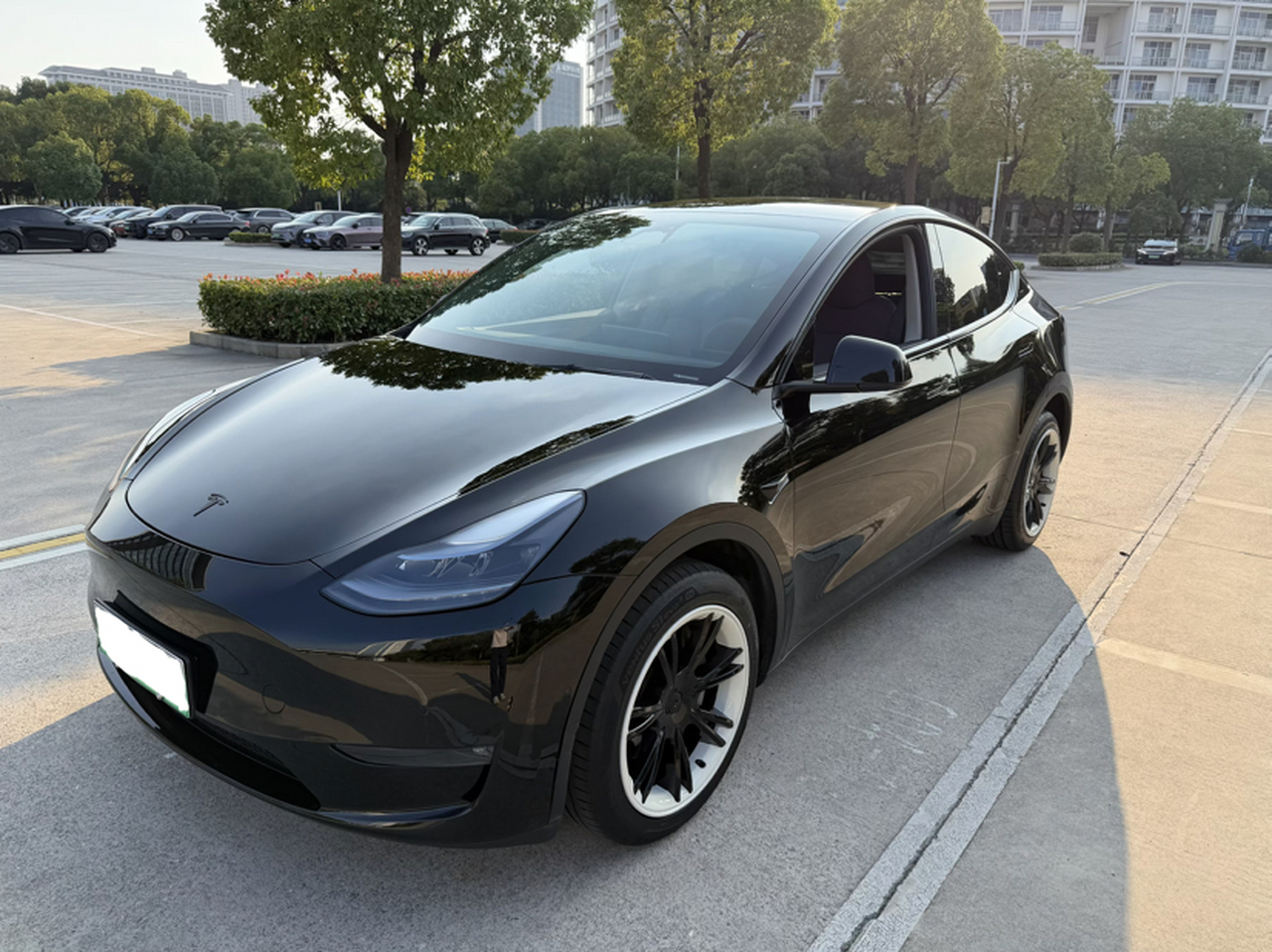 Model Y 2023 Long Range AWD