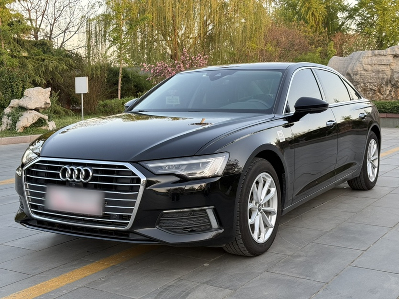 A6L 2019 40 TFSI Luxury photo 4