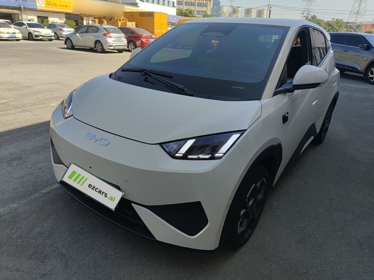 Seagull 2025 ADAS 305km
