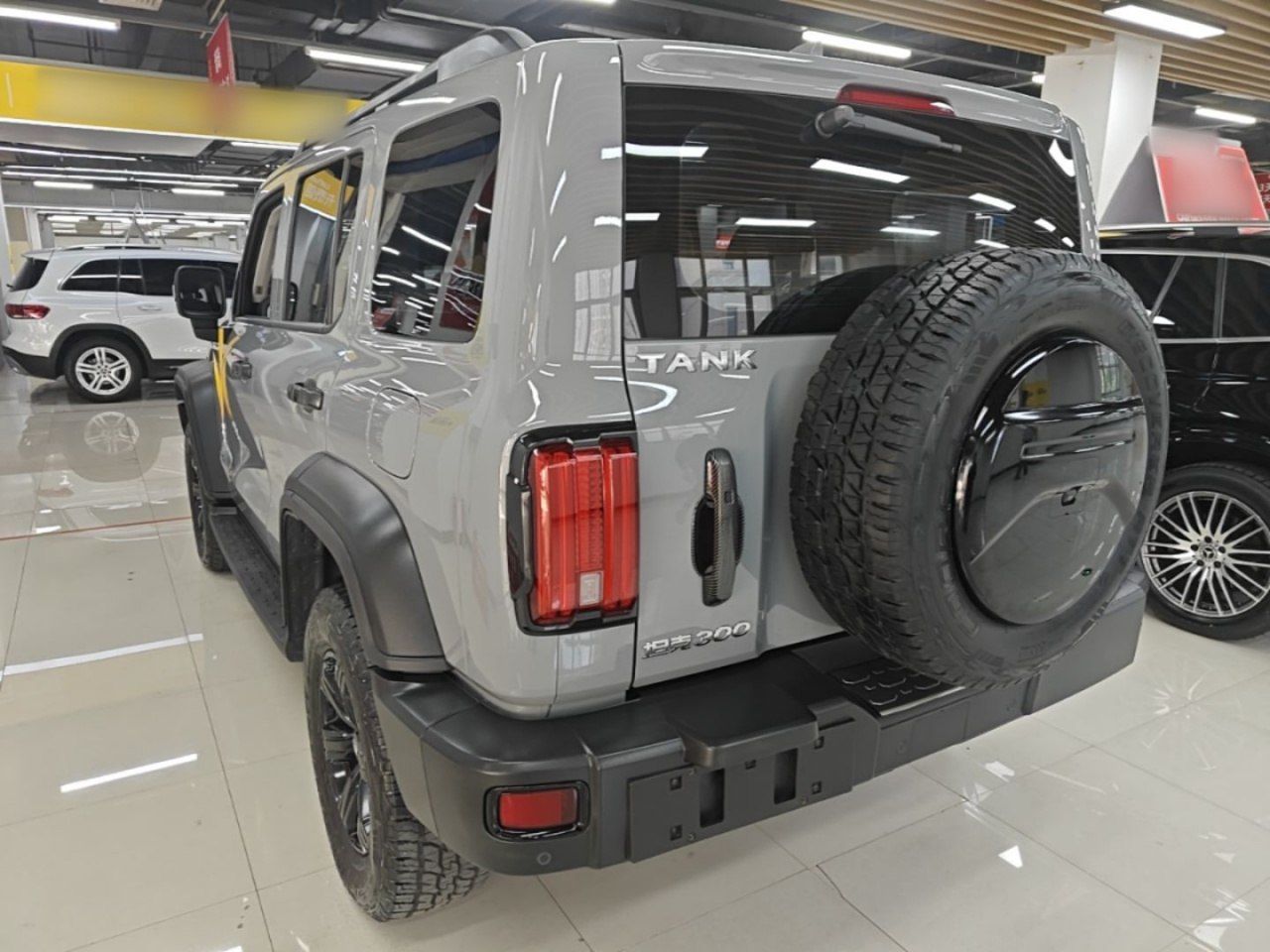 300 2023 Off-road 2.0T Conqueror photo 4