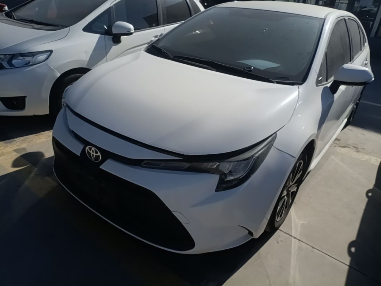 Levin 2023 TNGA 1.5L CVT Progressive