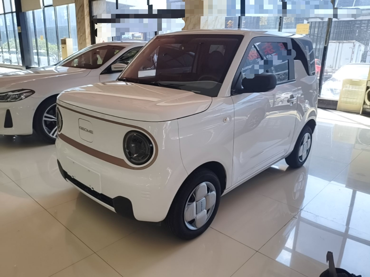 2024 Panda mini 200km Endurance Bear