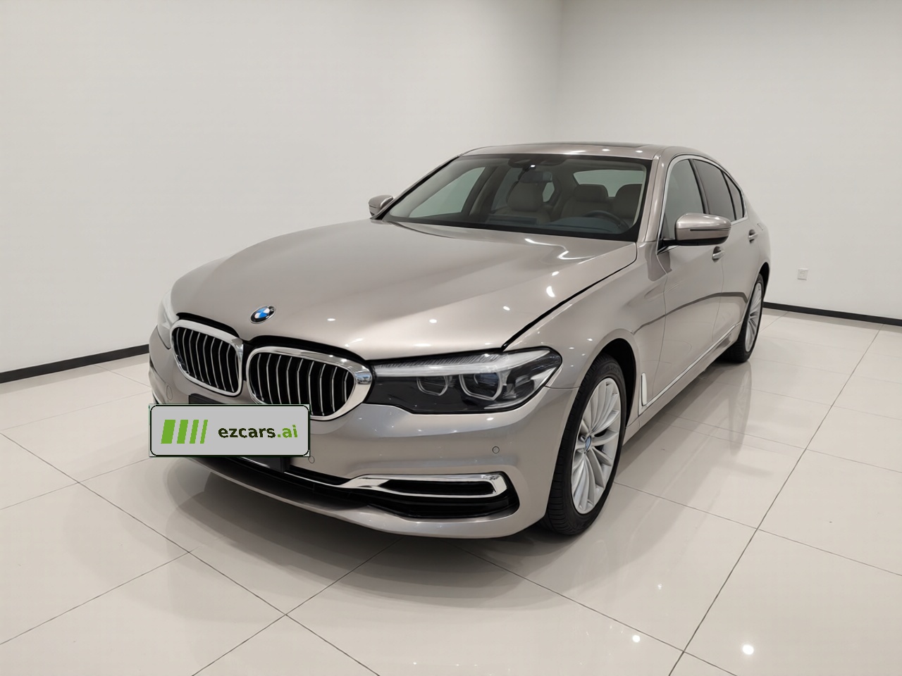 5 Series 2019 530Li Leading Luxury
