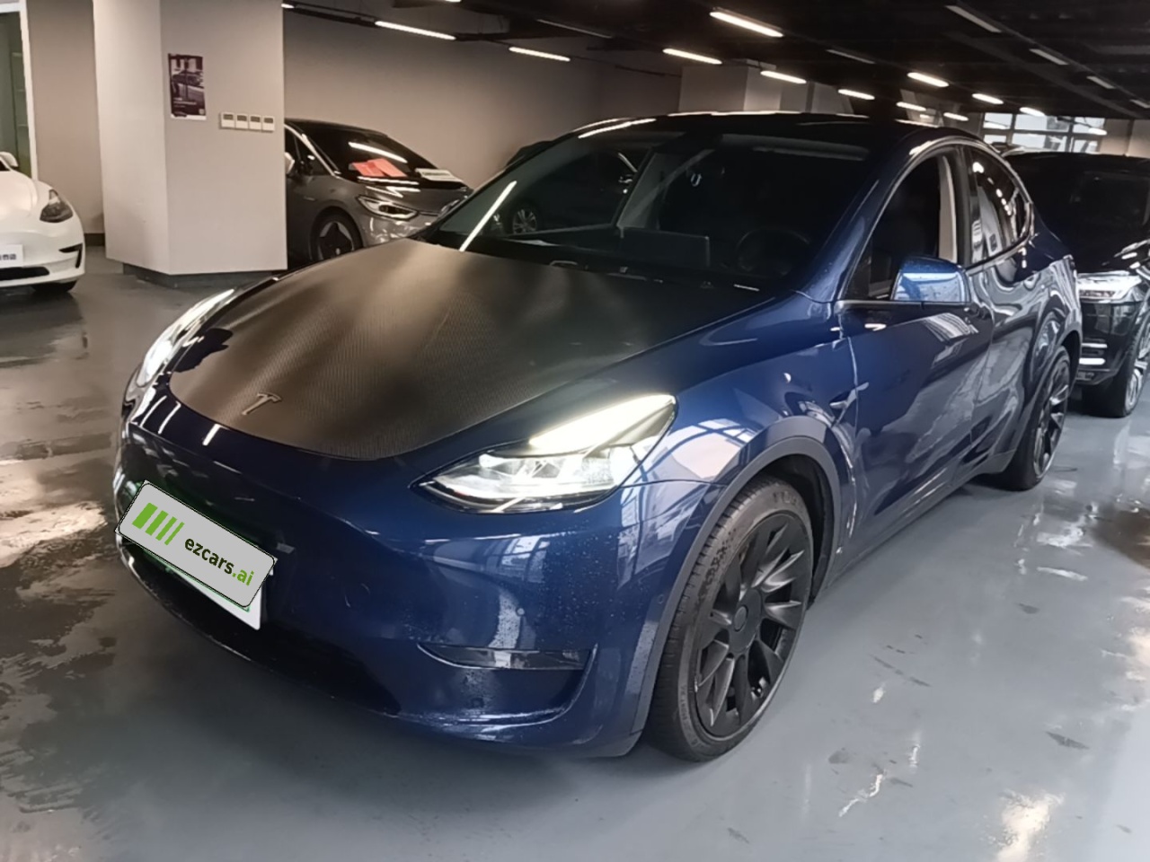 Model Y 2021 Standard Range RWD