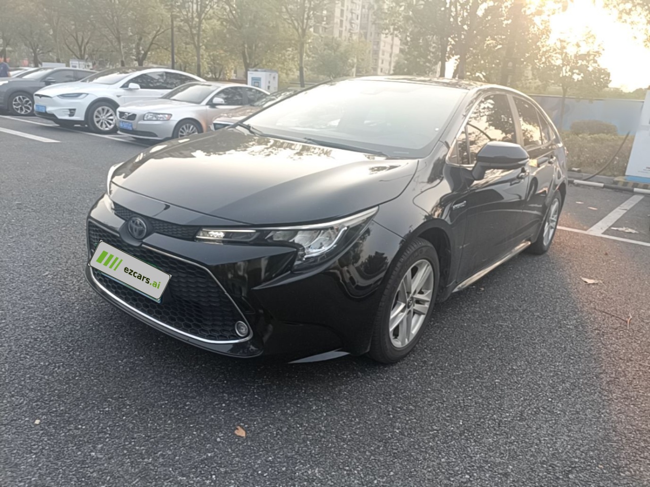 Levin 2019 Hybrid 1.8H E-CVT Exclusive China VI