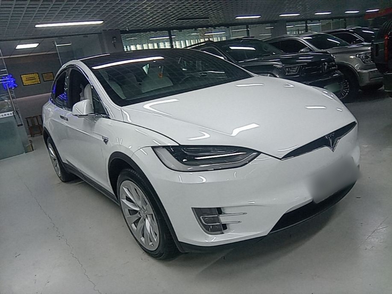 Model X 2019 Performance Performance photo 5