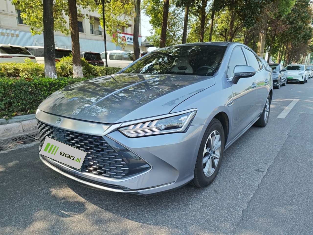 Qin PLUS 2024 Honor DM-i 55KM Leading