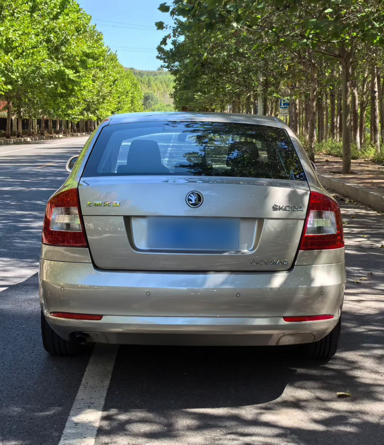Octavia 2014 1.6L AT photo 4
