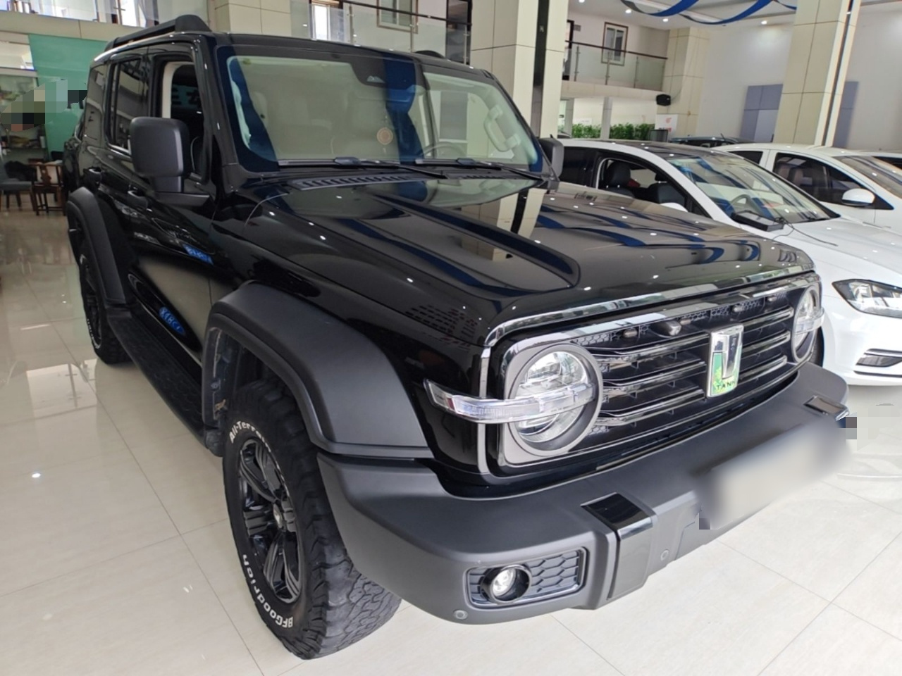 300 2021 Off-road 2.0T Conqueror photo 3