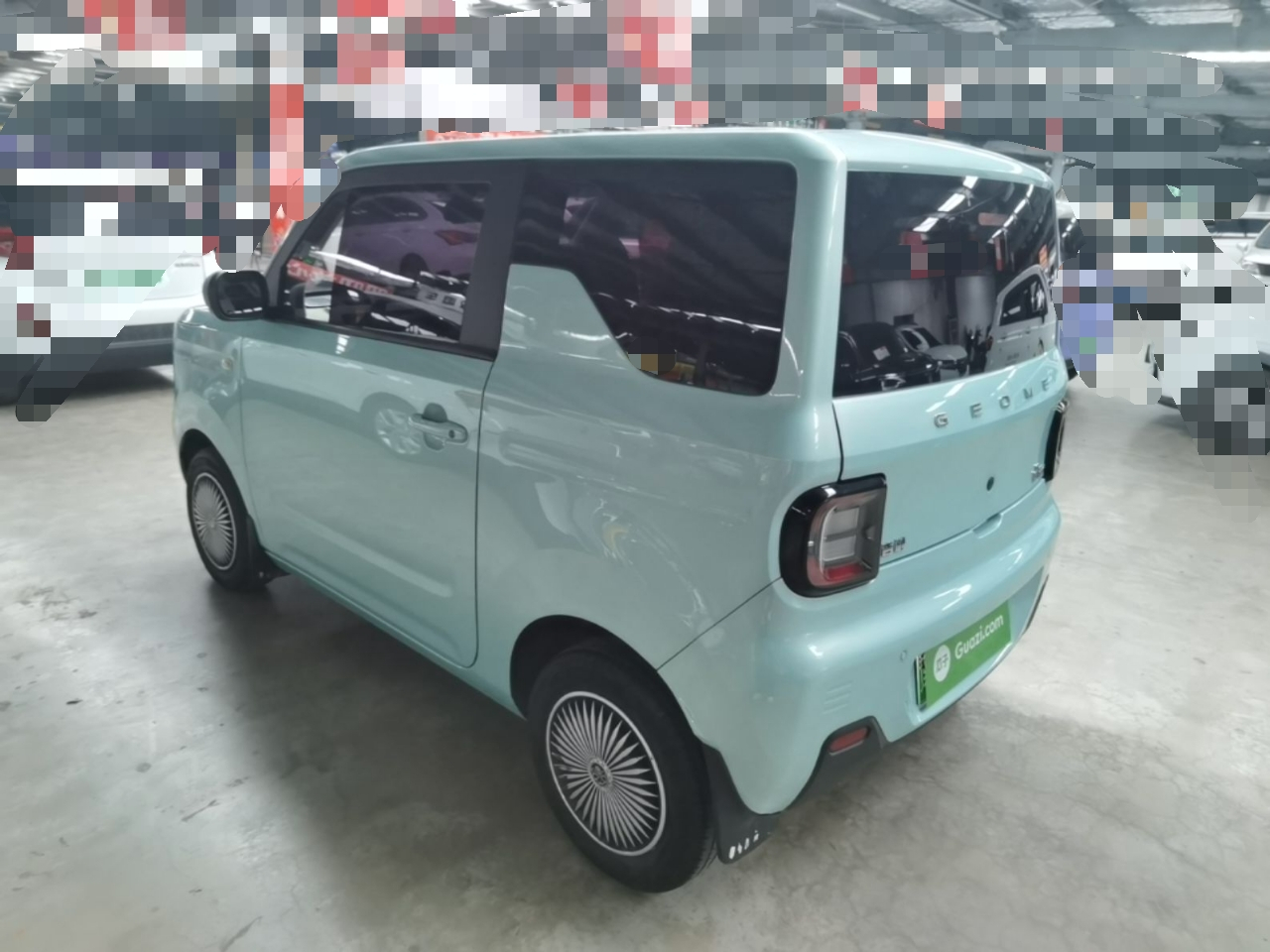 2024 Panda mini 200km Endurance Bear photo 4