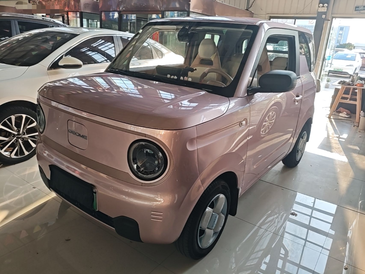 2023 Panda mini 200km Endurance Bear
