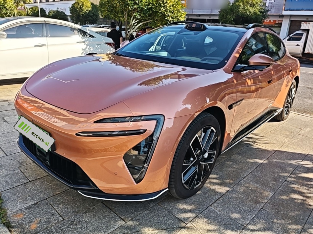 06T 2026 Performance EV