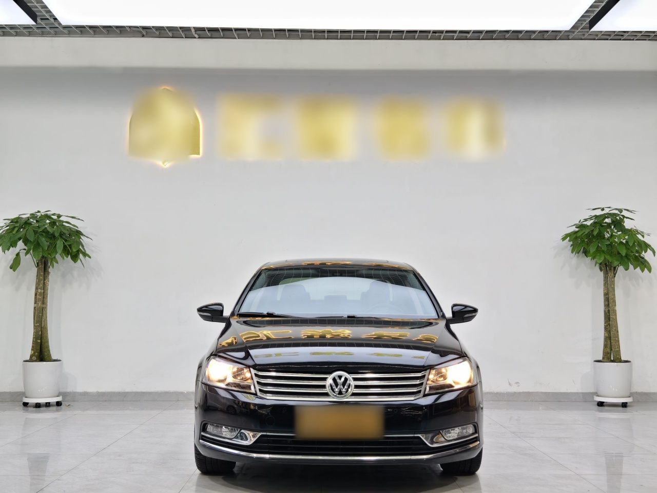 Magotan 2015 1.8TSI Leading photo 2