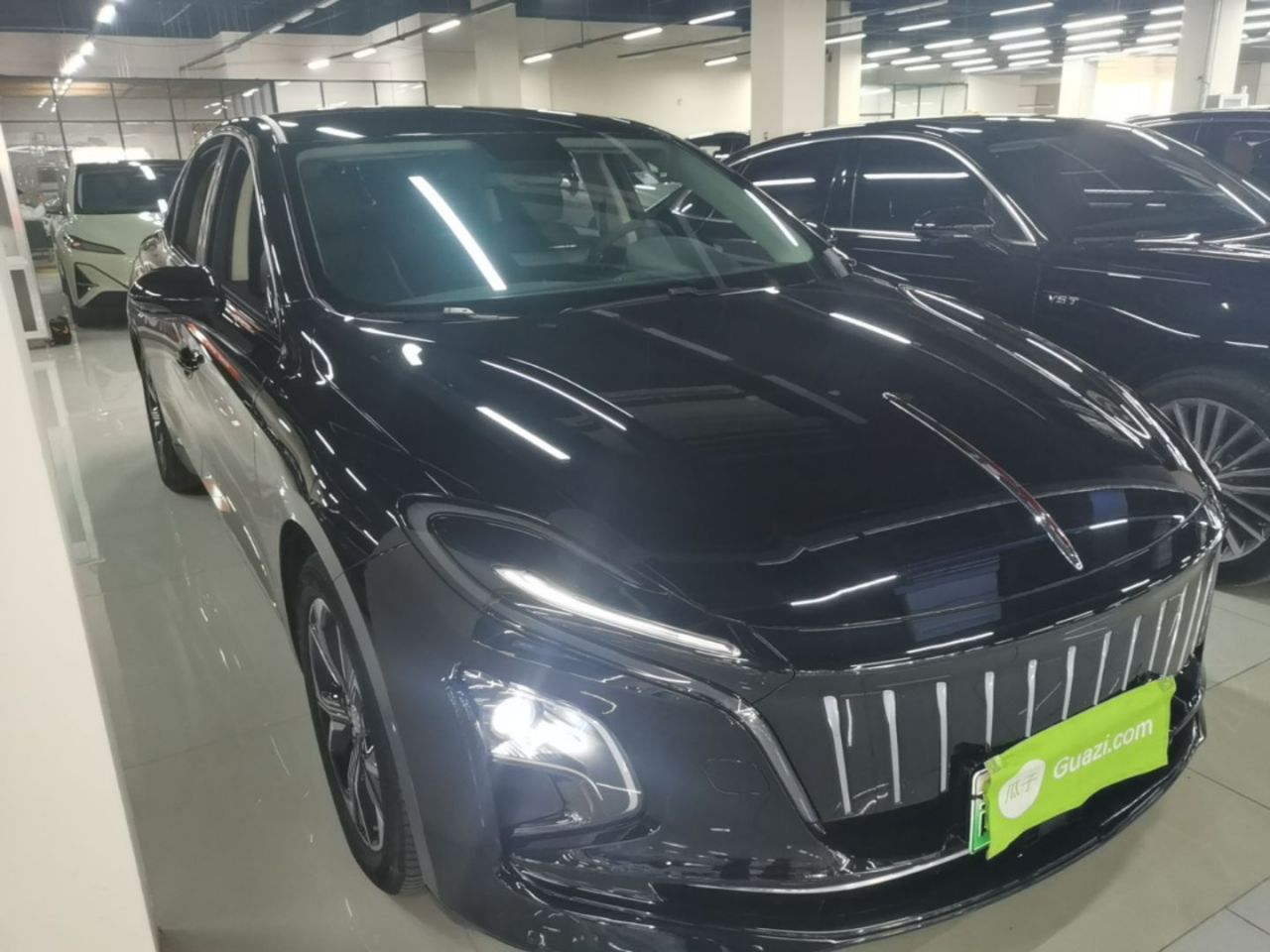 E-QM5 2023 photo 3