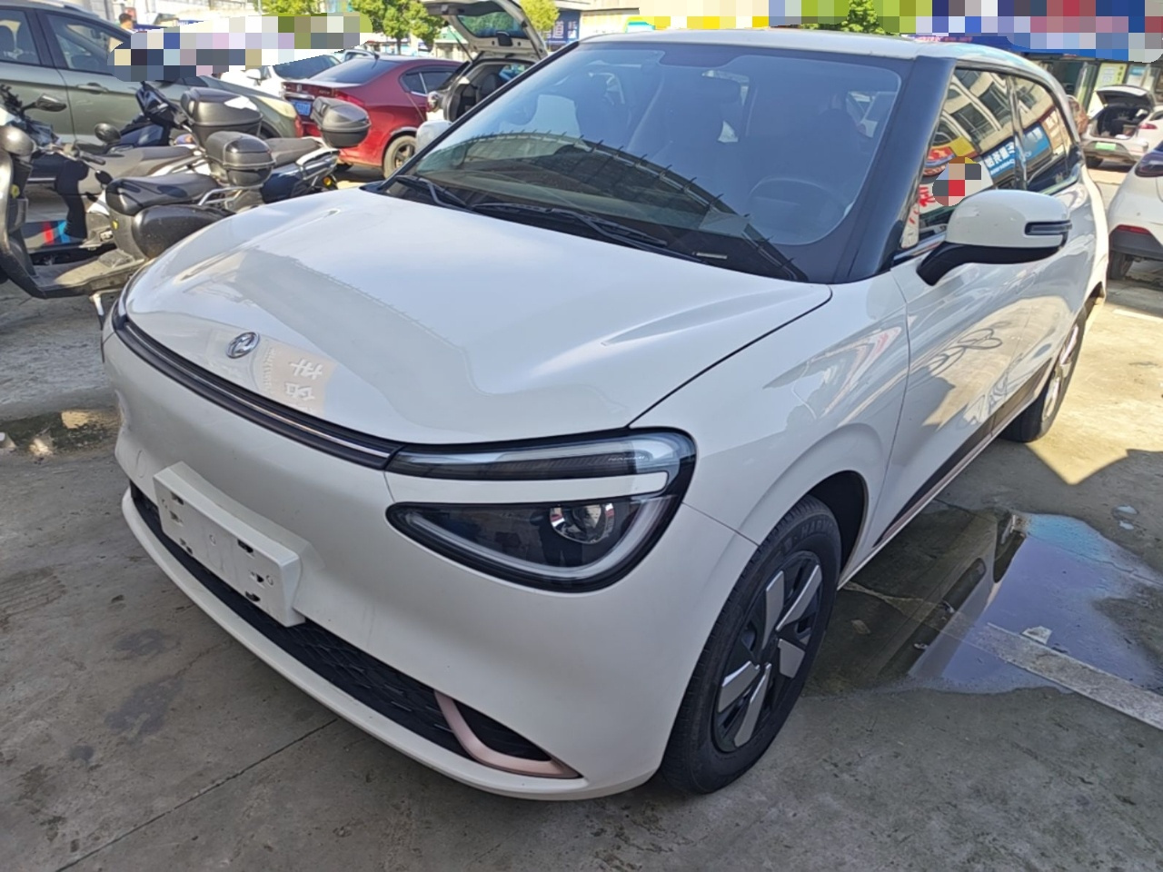Nammi 01 2025 330