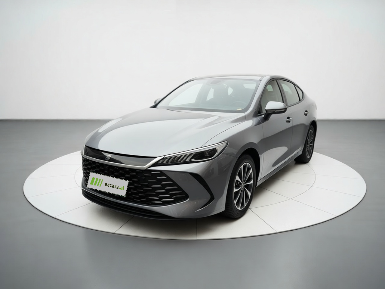 Qin PLUS 2025 DM-i ADAS 55KM Leading