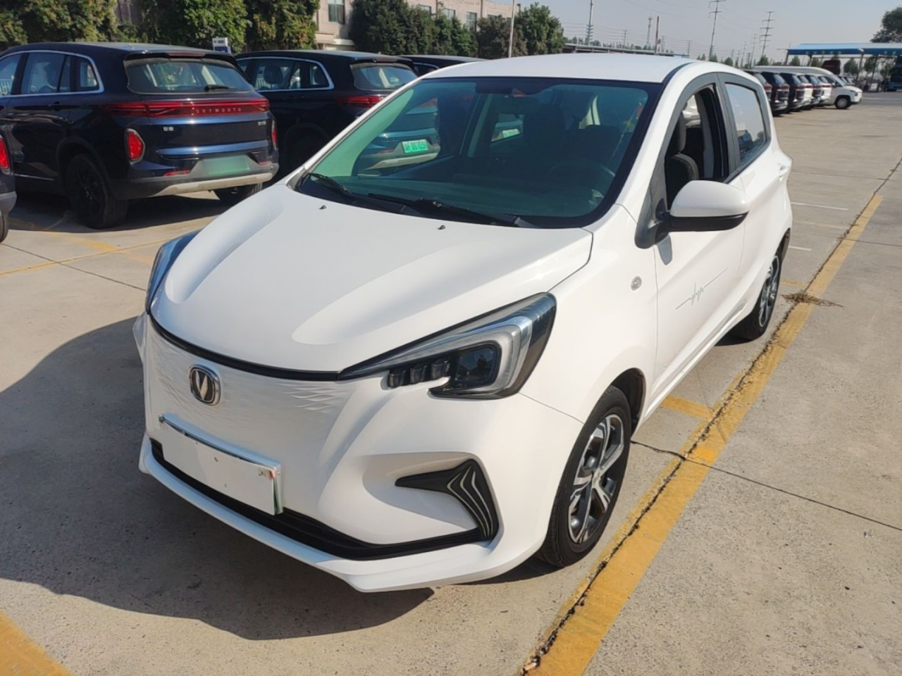Benni E-Star 2020 Heartbeat NCM