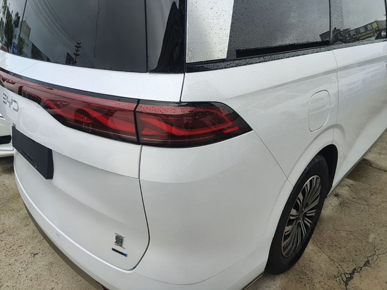 2025 DM-i 1.5T 180km photo 2