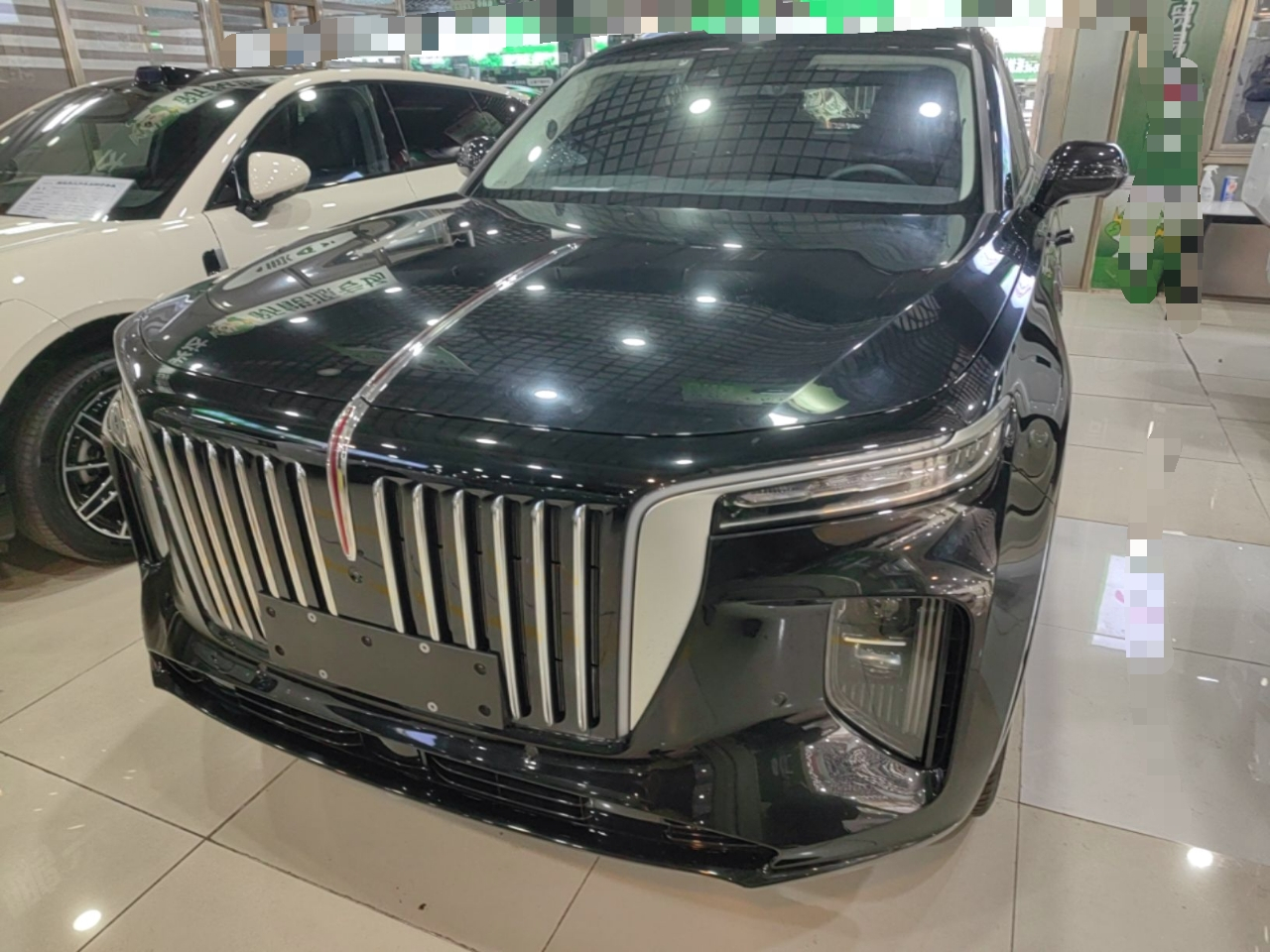 E-HS9 2021 460km 6-Seater